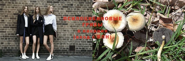 молекула духа Алзамай