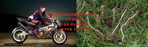 молекула духа Алзамай