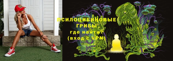 Альфа ПВП Алексин