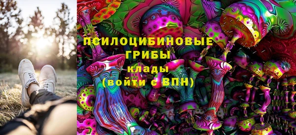 молекула духа Алзамай