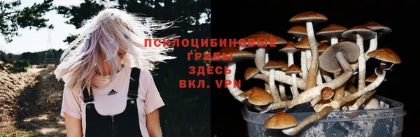 крисы Россошь