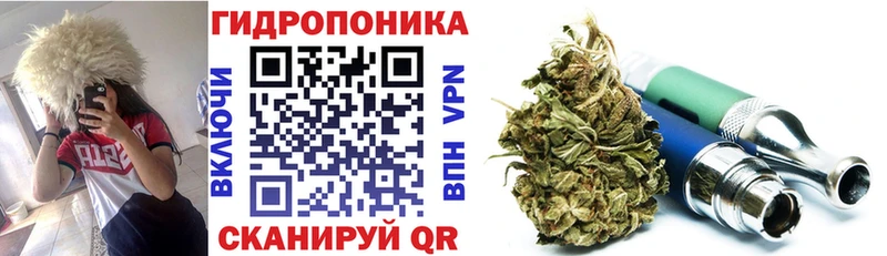 где купить наркотик  ссылка на мегу как зайти  Бошки Шишки сатива  Среднеколымск 